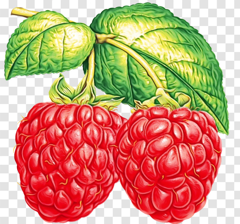 Raspberry Red Raspberry Blackberries Berry Blue Raspberry Flavor Transparent PNG