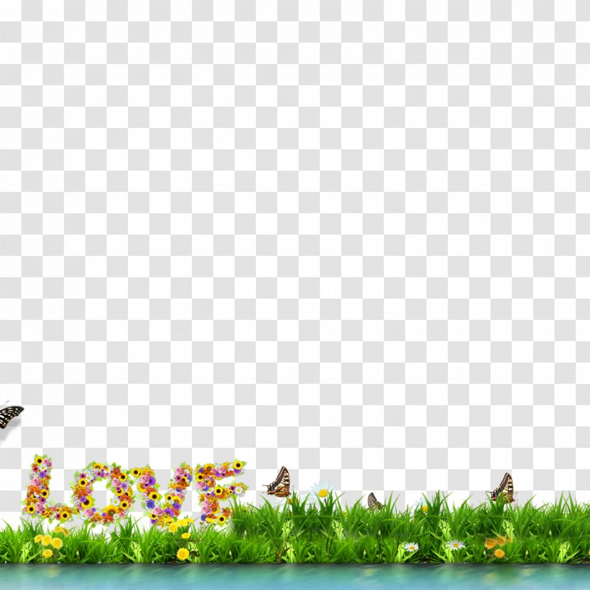 Poster Wall Wallpaper - Bedroom - Green Grass Material Transparent PNG