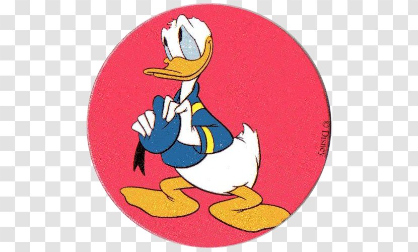 Donald Duck Cartoon Rooster - Chicken Transparent PNG