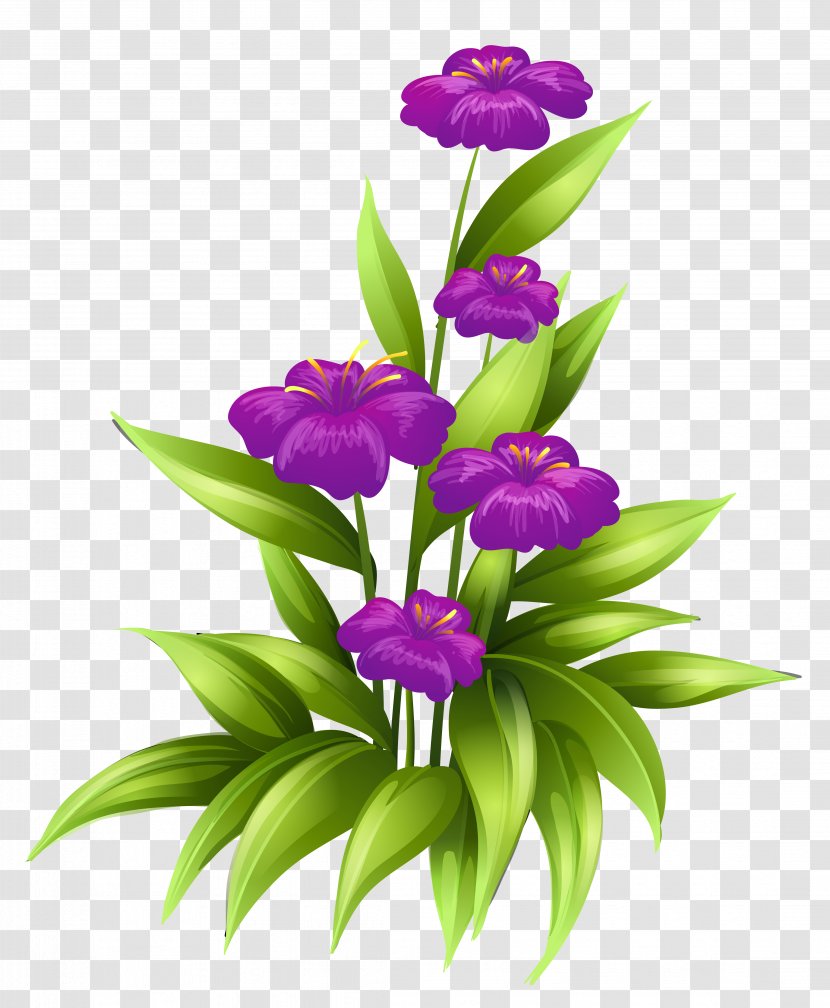 Flower Purple Floral Design Clip Art - Herbaceous Plant Transparent PNG