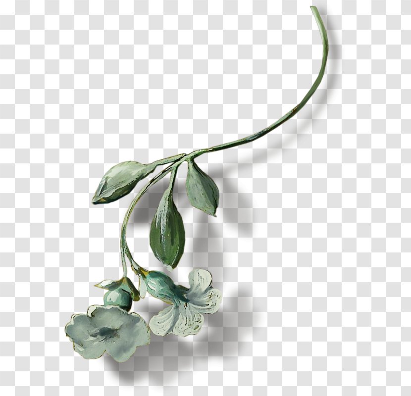 Flower Cantina Library Plant Stem Clip Art Transparent PNG