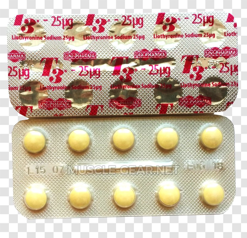 Anabolic Steroid Triiodothyronine Tablet Liothyronine Oxandrolone Transparent PNG