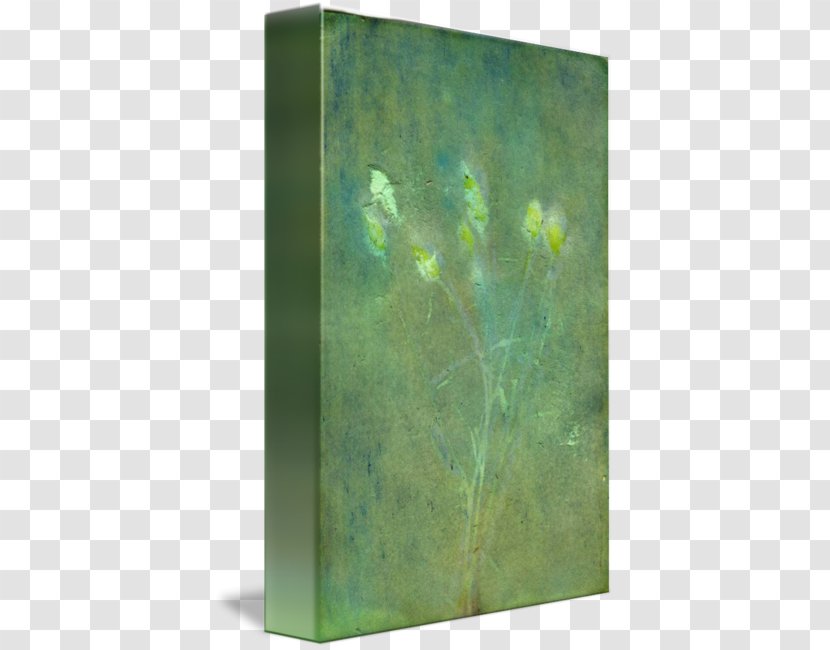 Painting Green Rectangle Leaf - Watercolor Flowers White Transparent PNG