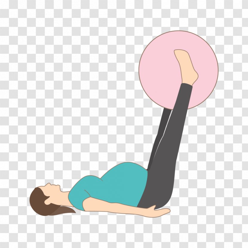 Total Gym Physical Fitness Exercise Balls Pilates - Tree - Vector Pregnant Woman Transparent PNG
