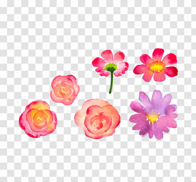 Flower Euclidean Vector Drawing - Garden Roses - Hand-painted Flowers Free To Download Transparent PNG