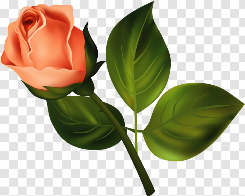 Artificial Flower - Leaf - Plant Stem Transparent PNG