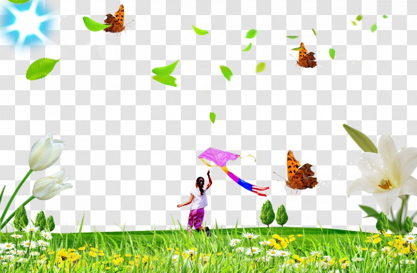 Butterfly Lawn - Tree Transparent PNG