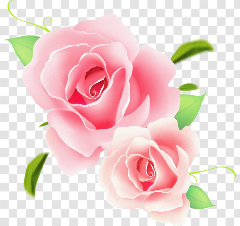 Rose Flower Clip Art - Petal - Pink Transparent PNG
