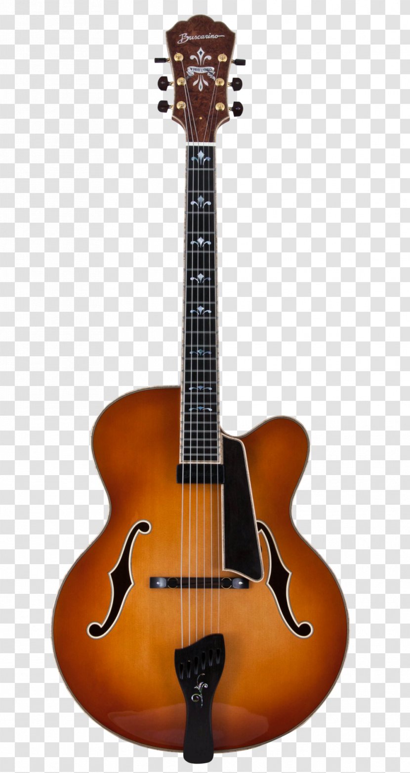 Twelve-string Guitar Takamine Guitars Electric Ovation Company - String Instrument Transparent PNG