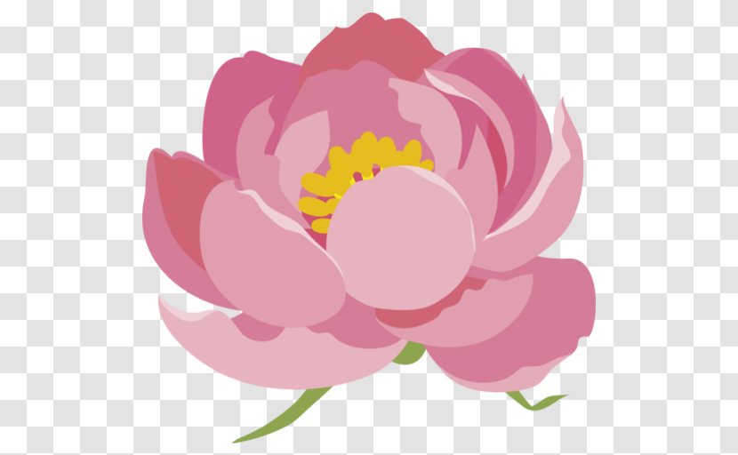Illustration Peony Clip Art Floral Design - Pink M Transparent PNG