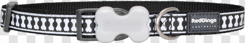 Dog Collar Cat Dingo - Toys - Red Transparent PNG
