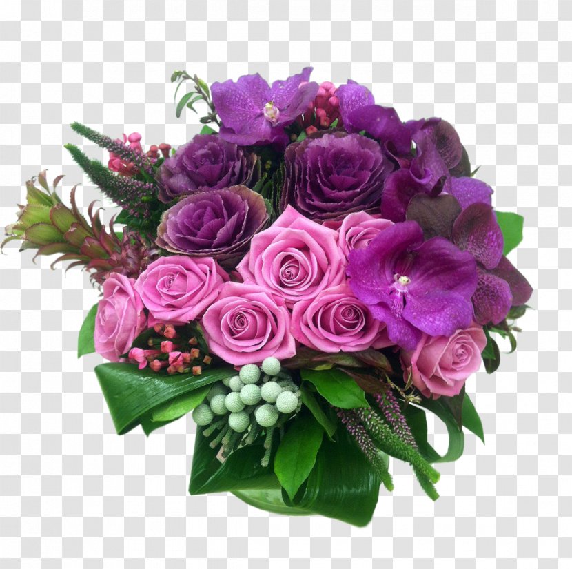 Garden Roses - Cut Flowers - Rose Family Purple Transparent PNG