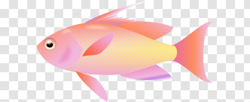 Desktop Wallpaper Fish Clip Art - Orange Transparent PNG