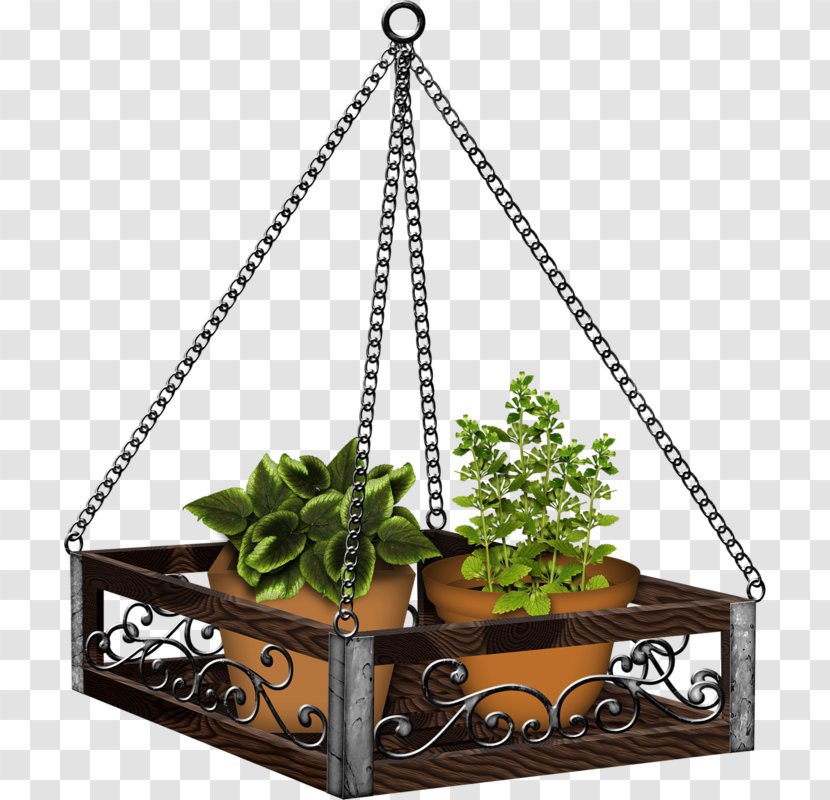 Flowerpot Plant Penjing - Watering Cans - Flower Transparent PNG