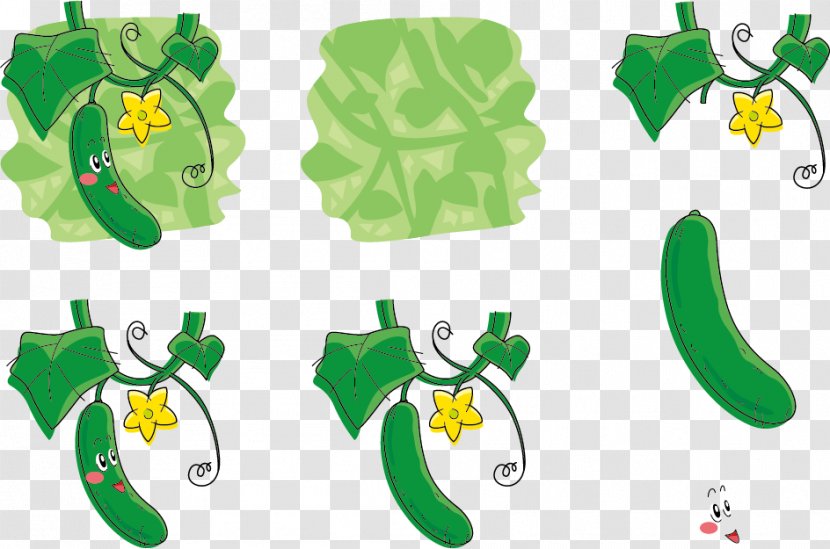 Cucumber Sponge Gourd Vegetable Auglis - Flora - With Flowers Expression Vector Transparent PNG