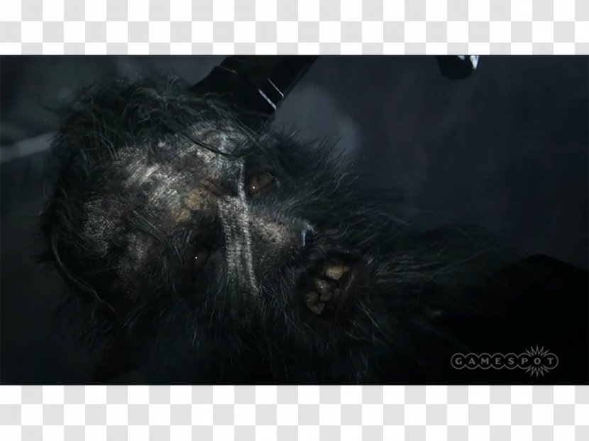 Bloodborne PlayStation 4 Electronic Entertainment Expo 2014 FromSoftware Video Game Transparent PNG