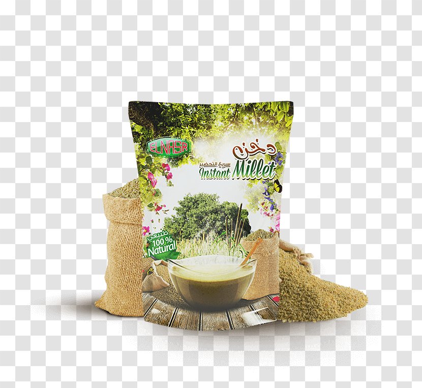 Hyphaene Thebaica Food Fruit Gum Arabic Herb - Date Palm - Tea Transparent PNG