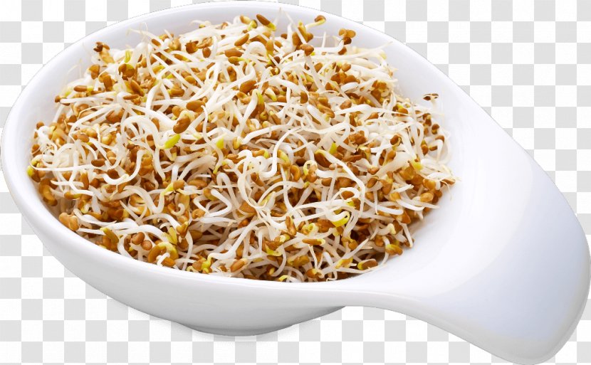 PepUpLife GmbH Vegetarian Cuisine Bean Sprout Ingredient Food Transparent PNG