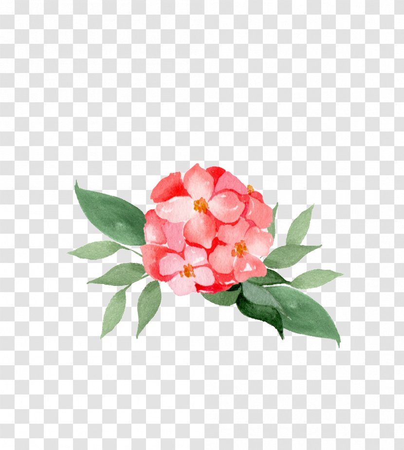 Watercolor Pink Flowers - Chinese Peony - Hydrangea Artificial Flower Transparent PNG