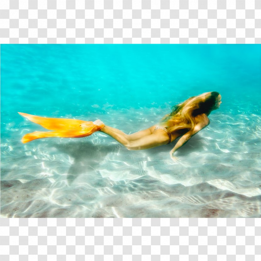 Mermaiding Diving & Swimming Fins Marine Biology - Fin - Mermaid Transparent PNG