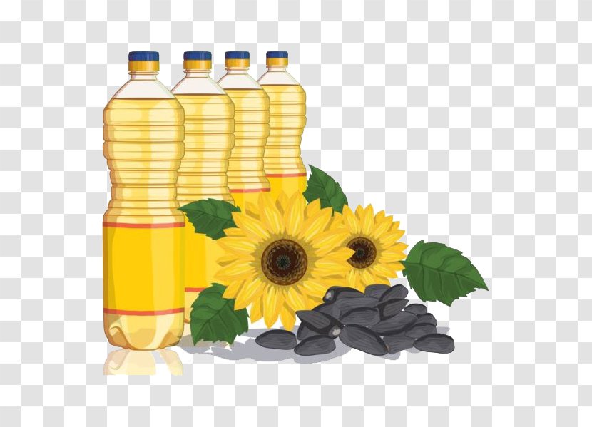 Sunflower Oil Common Cooking Vegetable Transparent PNG