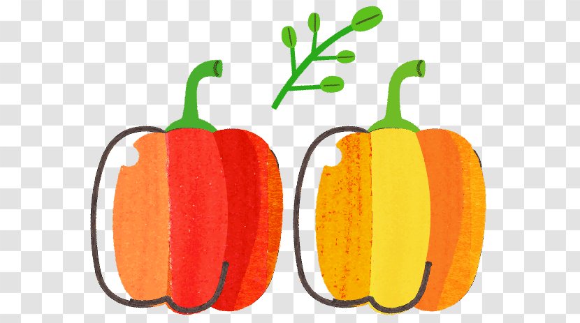 Pumpkin LINE Cuisine Illustration - Vegetable - Melon Transparent PNG