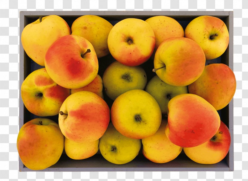 Natural Foods Diet Food Peach Local Transparent PNG