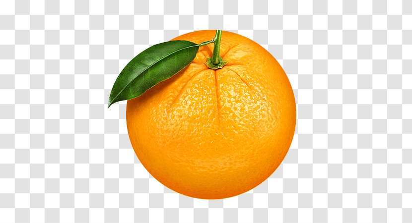 Clementine Mandarin Orange Fruit - Peel - Oranges Transparent PNG