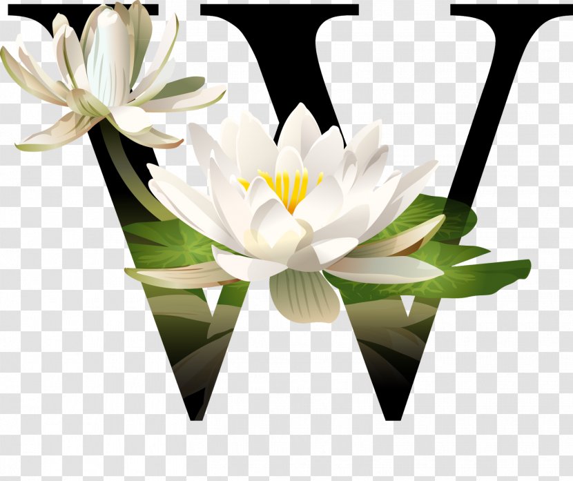 Floral Design Logo - Flower Transparent PNG