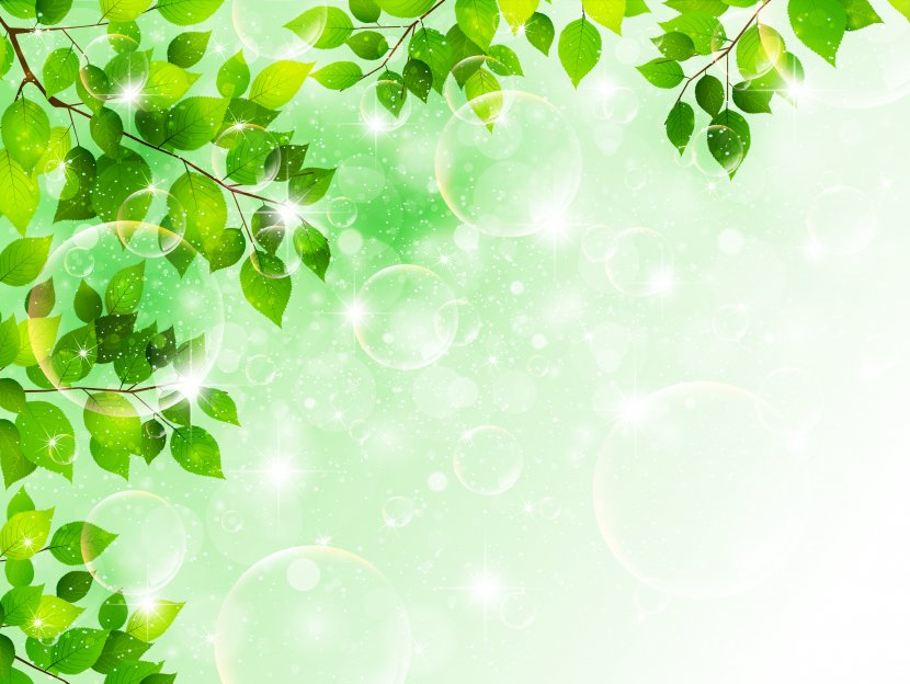 Leaf - Sunlight - PPT Transparent PNG