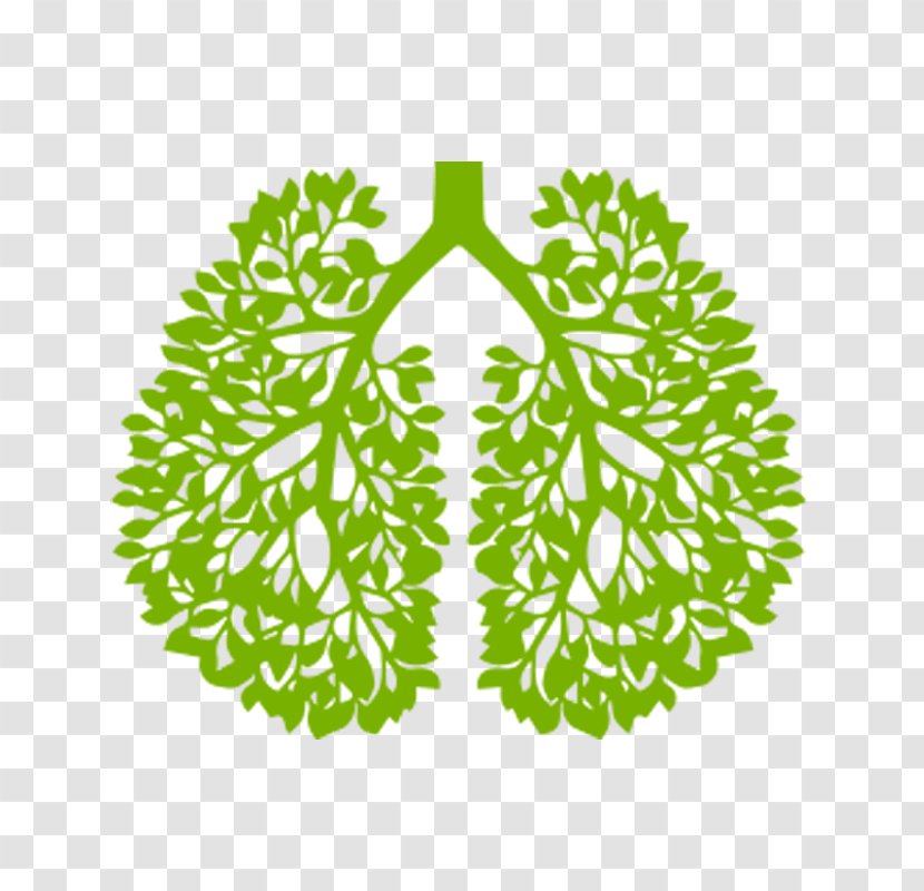 Lung Cancer HealthyWomen - Disease - Grass Transparent PNG