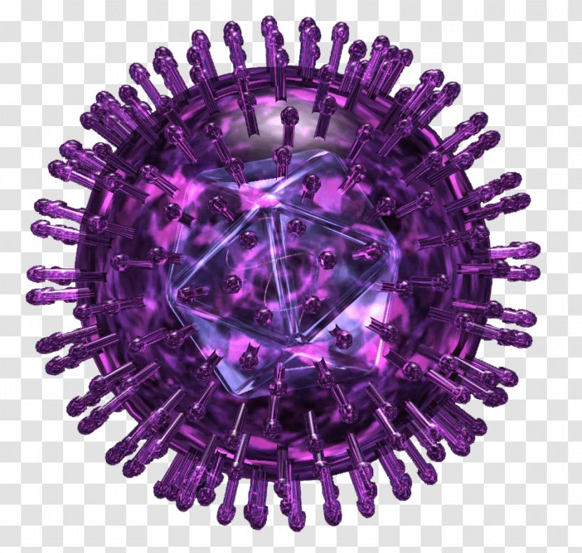 Herpes Simplex Virus Herpesviruses Labialis - Amplifying Mycoplasma Transparent PNG