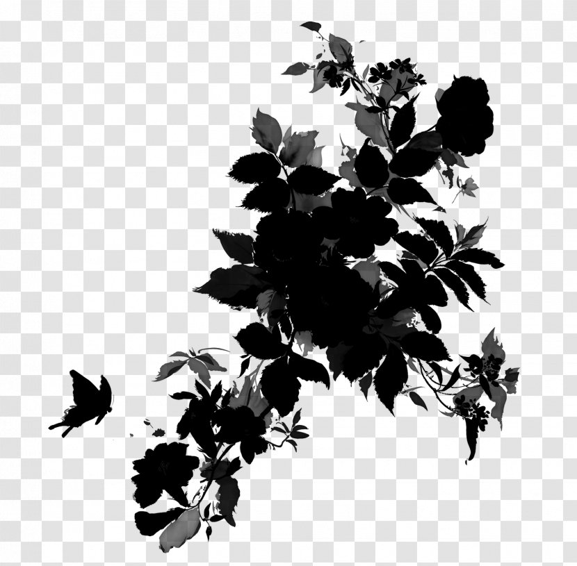 Black & White - Botany - M Flowering Plant Silhouette Leaf Transparent PNG