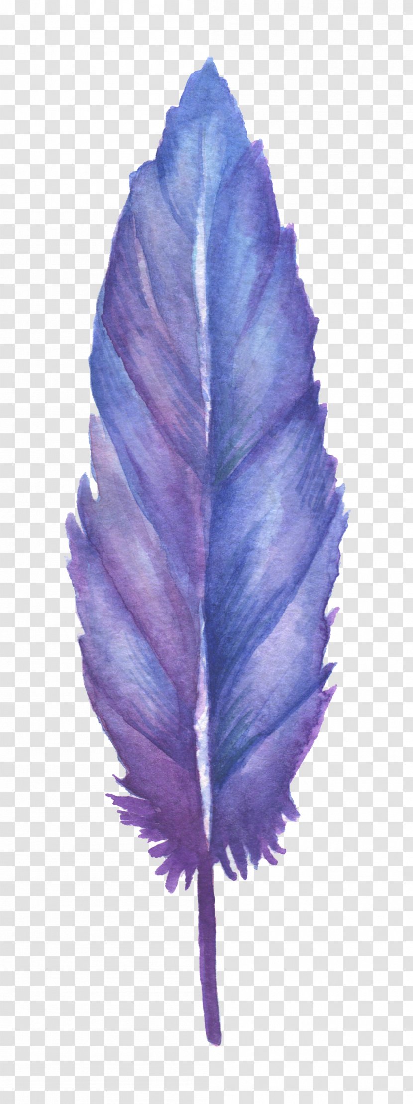 Feather Blue Drawing - Purple Transparent PNG