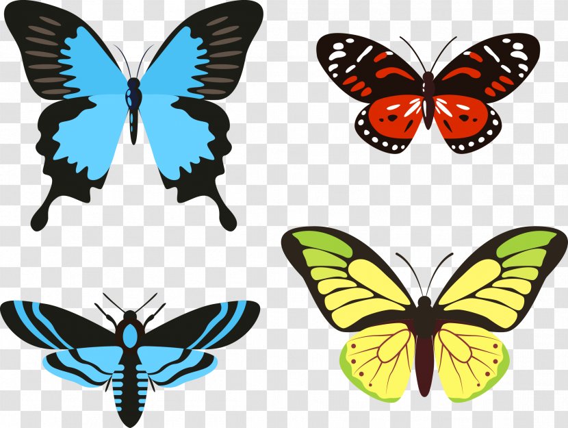 Butterfly Cockroach Insect Illustration - Moths And Butterflies - Vector Hand Painted Transparent PNG