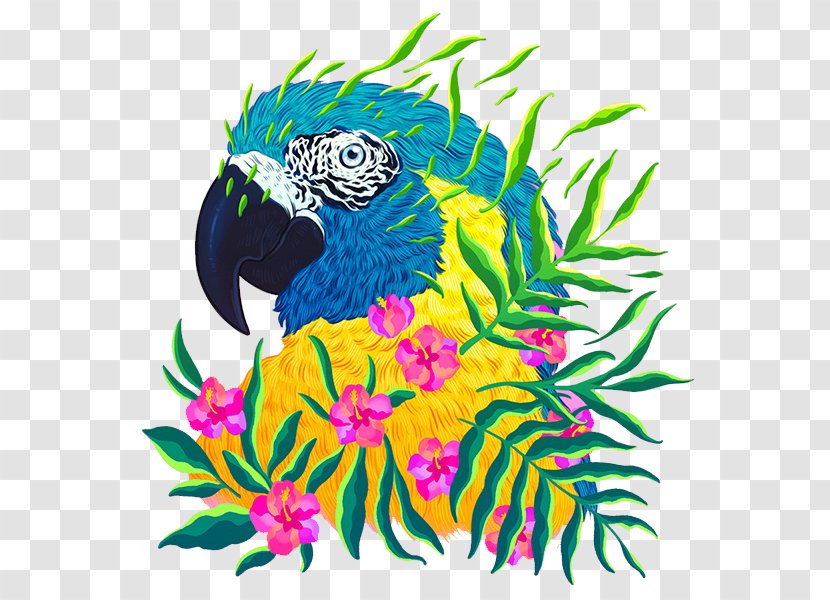 Animal Endangered Species Art Cat Illustration - Feather - Parrot Transparent PNG