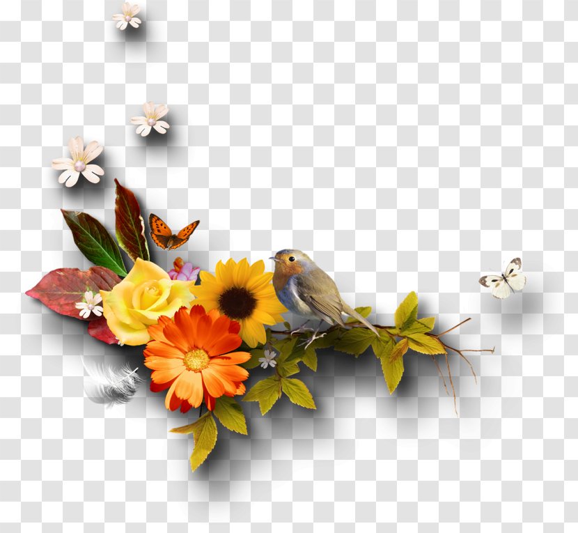 Autumn Clip Art - Daisy - Floatie Transparent PNG