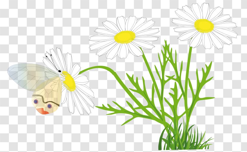 Clip Art - Plant - Papillon Transparent PNG