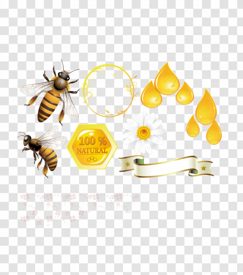 Honey Bee Beehive - Pollinator - Hive Template Download Transparent PNG
