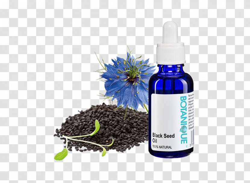 Fennel Flower Seed Oil Hemp Coconut Transparent PNG