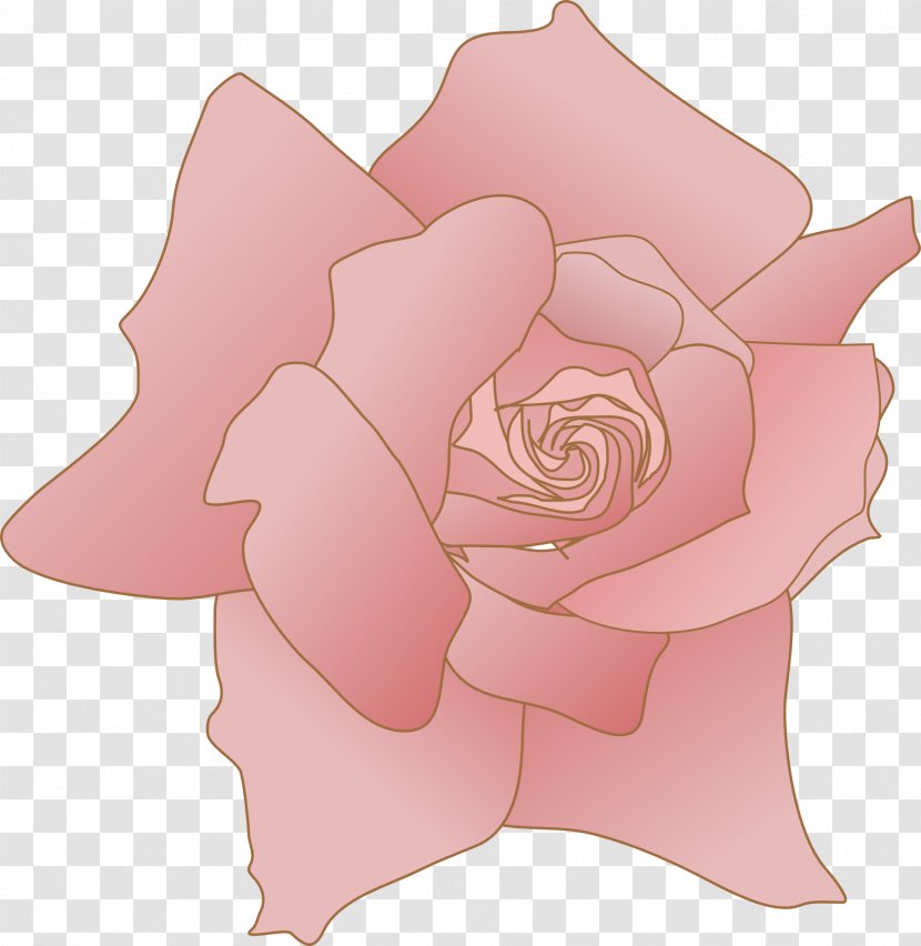 Garden Roses Drawing Cabbage Rose Clip Art - Plant - Flower Transparent PNG