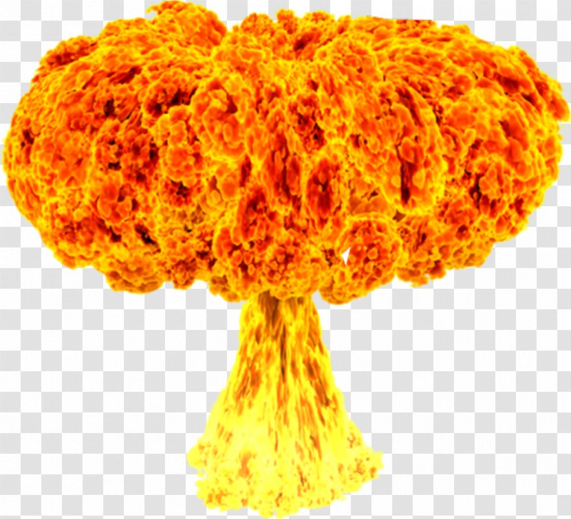 Nuclear Explosion Weapon GIF - Bomb - Flame Transparent PNG