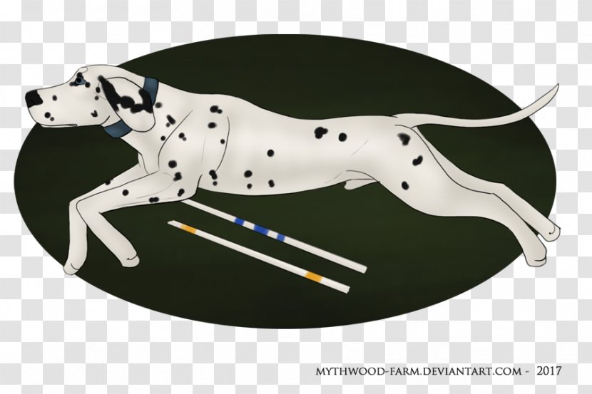 Dalmatian Dog Great Dane Breed - Non Sporting Group - Teacup Dogs Agility Association Transparent PNG