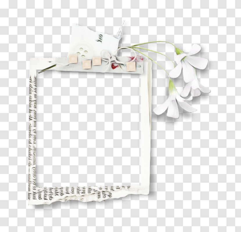 Background White Frame - Flower Plant Transparent PNG