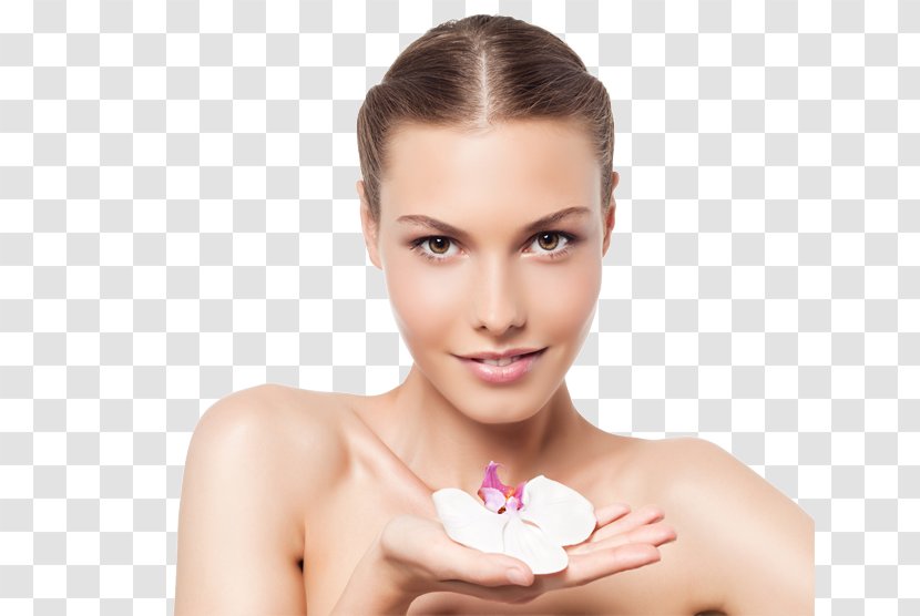 Eyebrow Skin Cosmetics Make-up Permanent Makeup - Microblading - Surgery Woman Transparent PNG