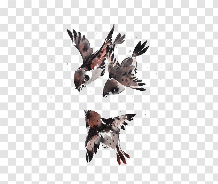 Sparrow Bird Watercolor Painting Transparent PNG