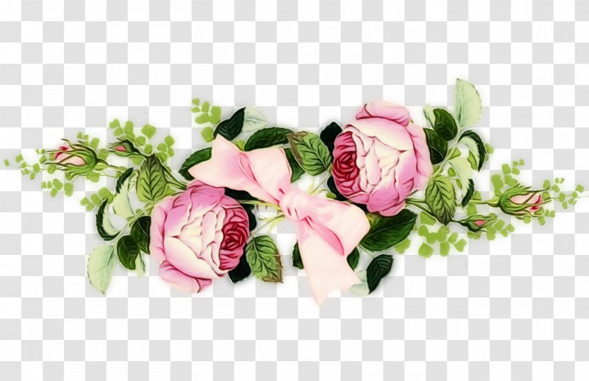 Garden Roses - Flower - Petal Rose Family Transparent PNG