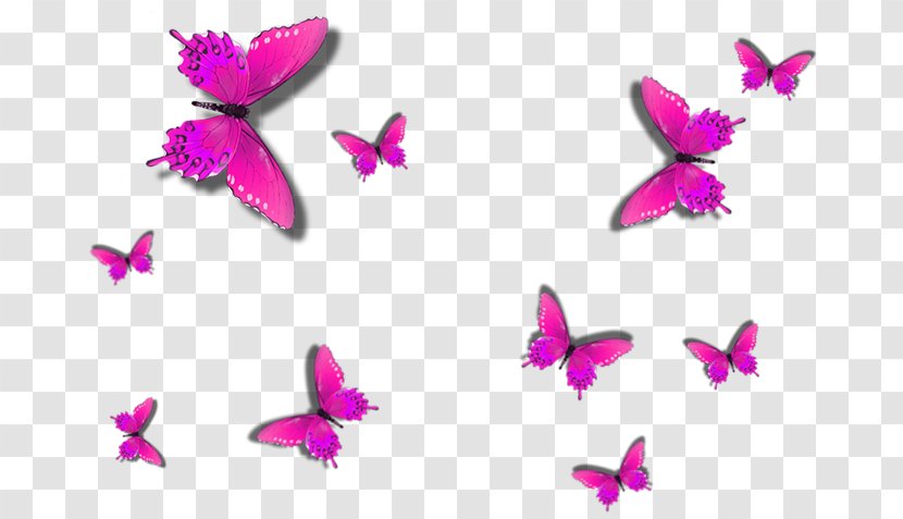 Butterfly Painting Wall Decal - Purple - Pink Carpet Transparent PNG