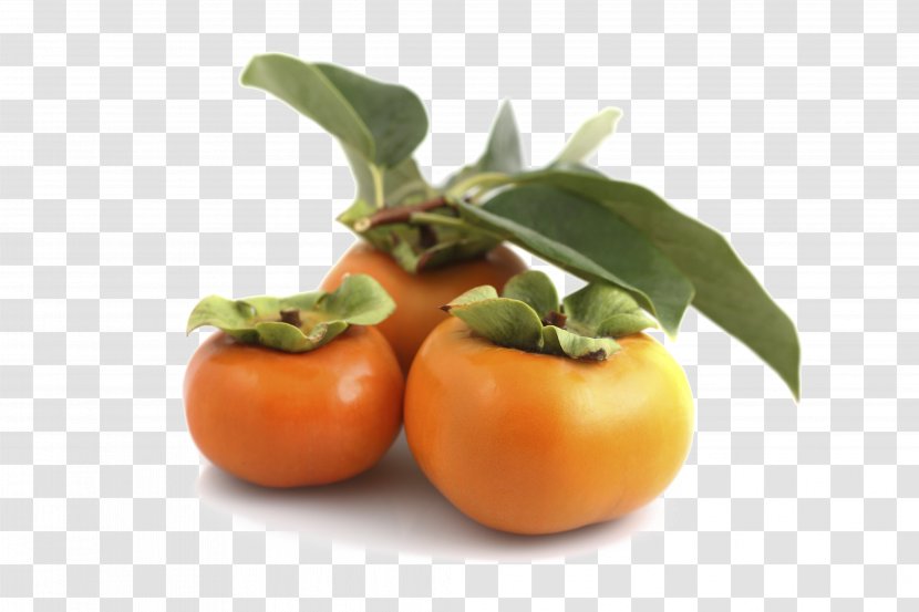 Japanese Persimmon Food Fruit Tree - Tangerine Transparent PNG