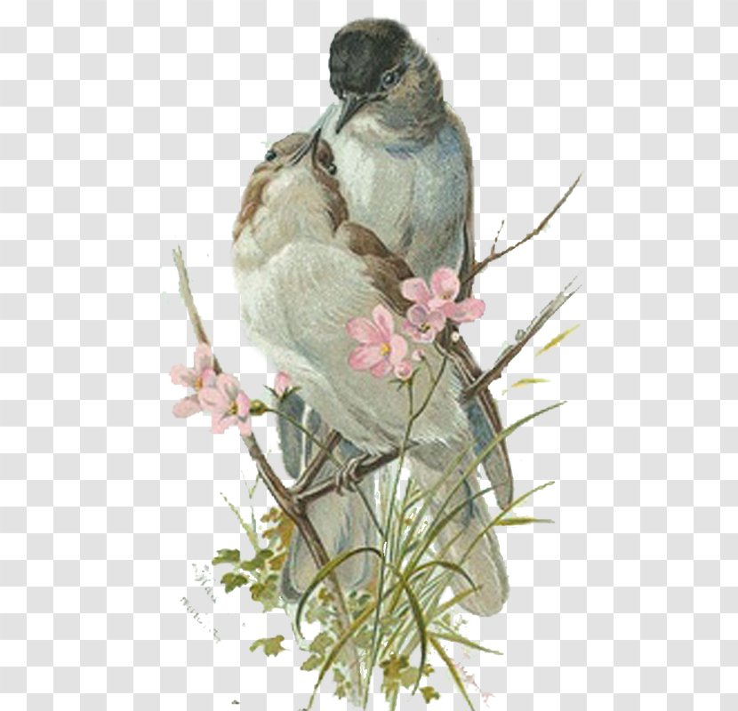 Bird Paper Swallow - Ephemera Transparent PNG